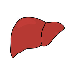 Abstract human liver