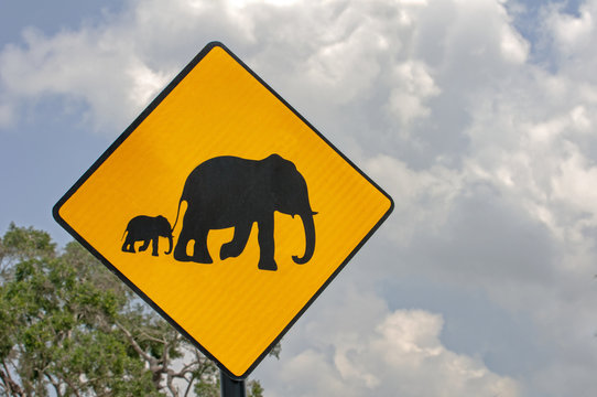 "Elepants crossing" warning sign