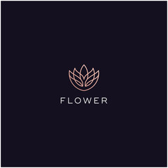 lotus flower logo design