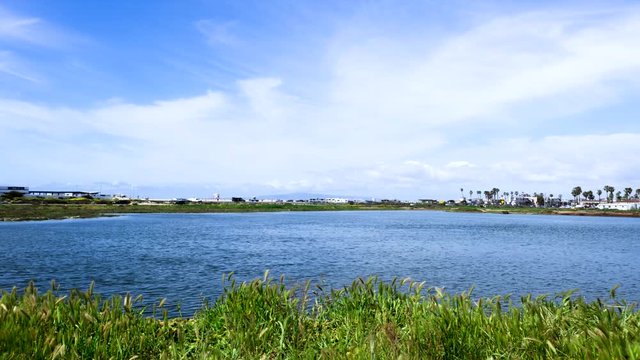 Bolsa Chica Wetlands