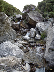The view at Reserva Florofaunistica reserve in Merlo, San Luis, Argentina.