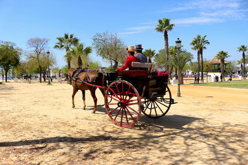 Fototapeta premium Two-wheeled carriage pulled by a horse