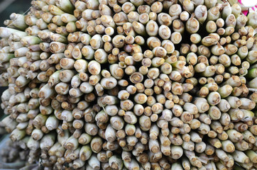 Fresh lemon grass