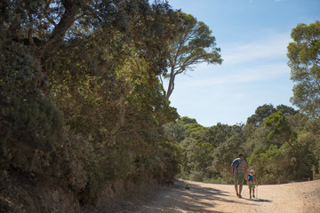 Island of Porquerolles,  in the south of France.