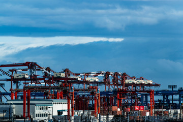 Gantry cranes line up along the port.