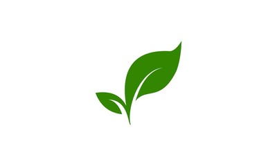 leaf icon logo vector