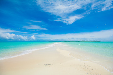 Fototapeta na wymiar Tropical Paradise, Blue sea, white sand, summer, Beach in Kayangel, Palau, Pacific island
