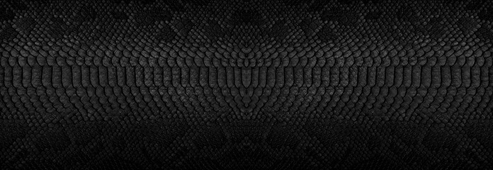 Snake skin background. Panoramic web banner with copy space.