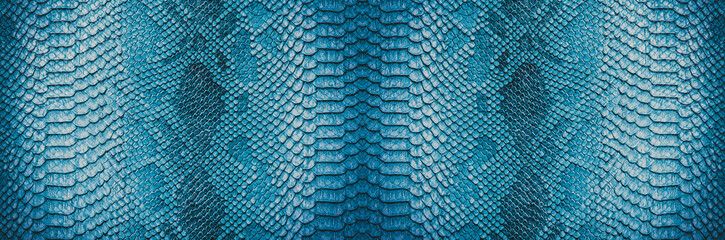 Snake skin background. Panoramic web banner with copy space.