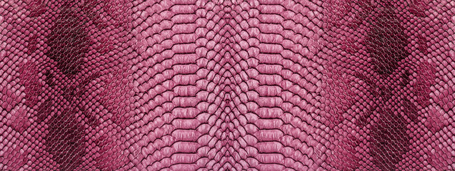 Snake skin background. Panoramic web banner with copy space.