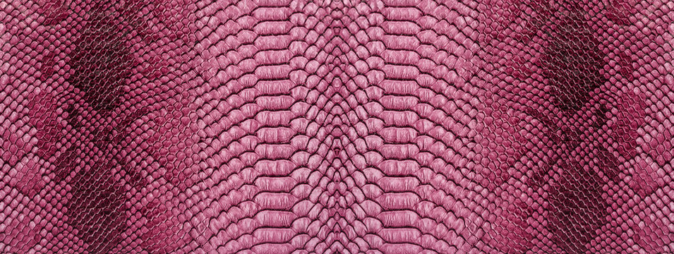Snake skin background. Panoramic web banner with copy space.