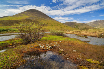 Fototapeta na wymiar Summer landscape with a mountain stream. The beautiful northern nature of the Arctic. The slopes of the hills covered with tundra. Nice sunny weather. Golden Ridge, Chukotka, Siberia, Far East Russia.
