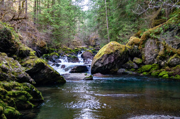 Big Quilcene River flows inside the Olympic National Forest in Washington