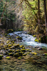 Big Quilcene River flows into a pool of water in the Falls View Campground near Quilcene, Washington