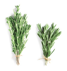 Set of fresh rosemary twigs on white background, top view