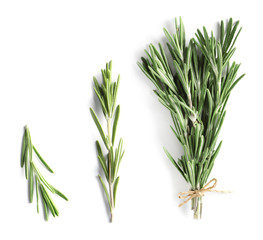 Set of fresh rosemary twigs on white background, top view