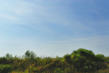 草　空　雲　素材