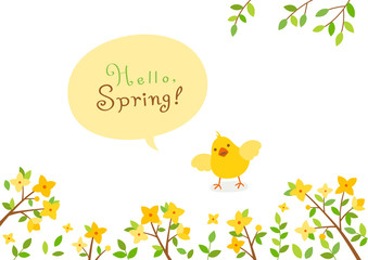 Forsythia flowers with baby chick.Spring background