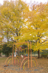 Fototapeta premium 公園の遊具