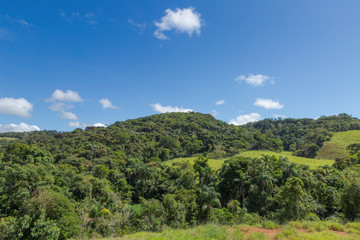 Vista de &aacute;rea de preservada da Mata Atl&acirc;ntica no munic&iacute;pio de Guarani, estado de Minas Gerais, Brasil