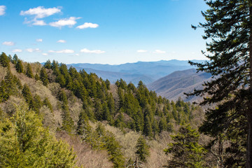 Smoky Mountain Valley