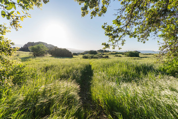 Santa Susana Pass State Historic Park spring meadow sunrise near Porter Ranch and the San Fernando...