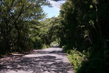 滋賀県琵琶湖に浮かぶ沖ノ島の美しい景観