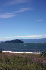 滋賀県琵琶湖に浮かぶ沖ノ島の美しい景観