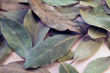 dry, fragrant, bay leaf, seasoning to various dishes