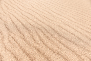 Fototapeta na wymiar Texture of Sand in Great Sand Dunes National Park & Preserve in Colorado