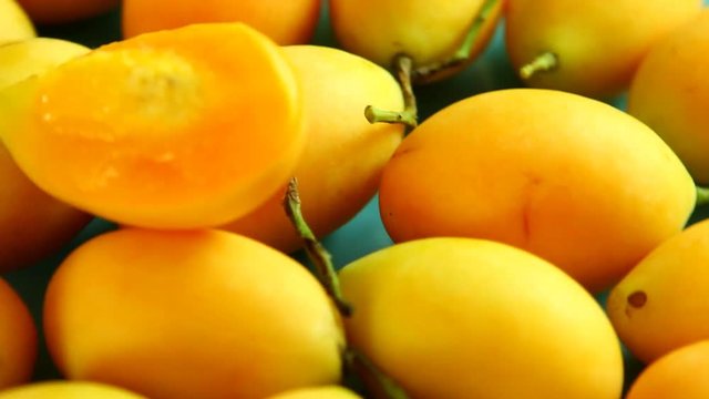 Marian plum fruit in plate, in studio Chiangmai Thailand