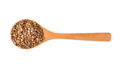 Coriander seeds in wood spoon on white background