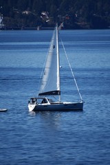 ヨット遊び　Sail boat