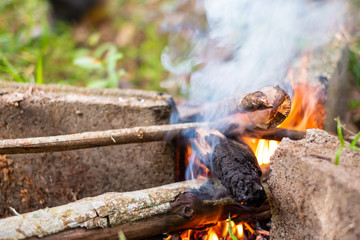 Campfire or bonfire with bricks in the forest in the evening time.