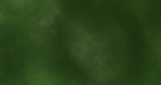 Biosph&auml;re im Micro Universum