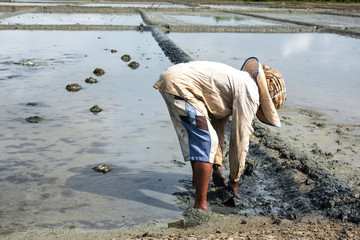 Man preparing salt field or saline for making salt.