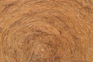 Round hay bale background