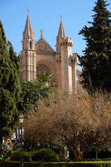 Fototapeta na wymiar Palma Mallorca cathedral Santa Maria La Seu front view rose window vertical