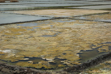 Durch Salzwasser Verdunstung entstehen Salzblumen, Philippinen