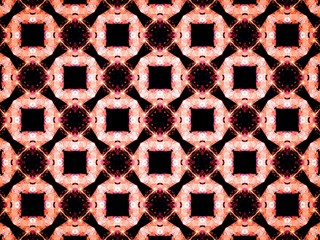 テクスチャ