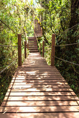 Fototapeta na wymiar wooden Walkway, wooden bridge through Rain forest in Malaysia.