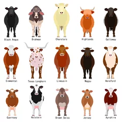 Papier Peint photo Ferme tableau des bovins avec le nom des races