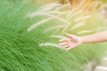 Children hand touch a grass