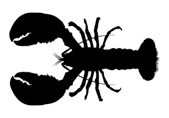 Lobster Silhouette Icon on White Background. Vector - Vector