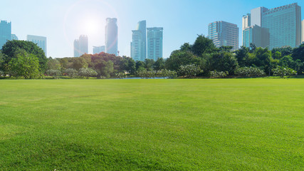 grassland green field with trees and buildings temple and grand palace in blue sky,Bangkok thailand