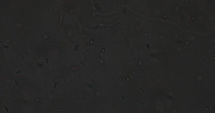 Biosph&auml;re im Micro Universum