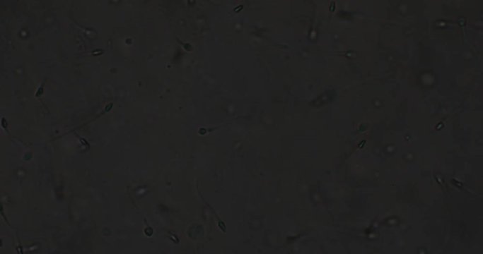 Biosph&auml;re im Micro Universum