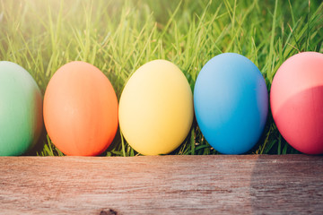 Easter egg on wooden garden grass background, happy easter day concept