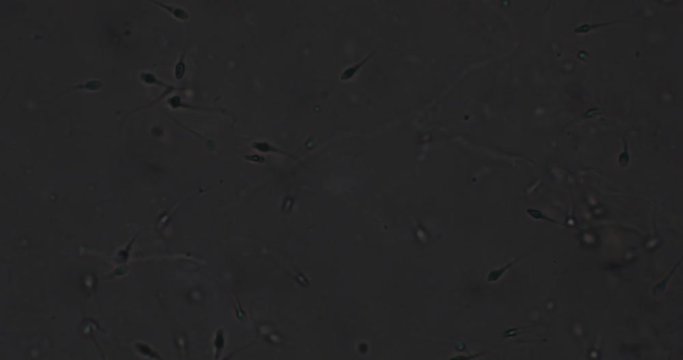 Biosph&auml;re im Micro Universum