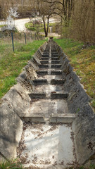 Drainage water in the forest